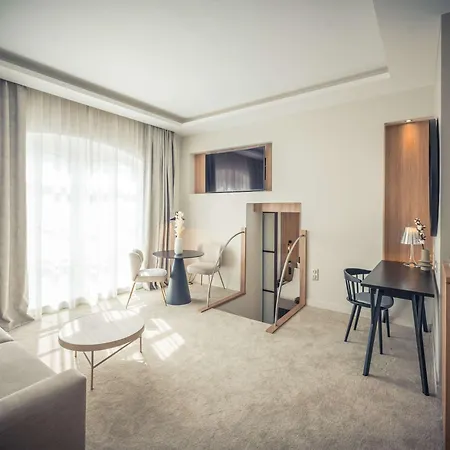 Mercure Centre מלון